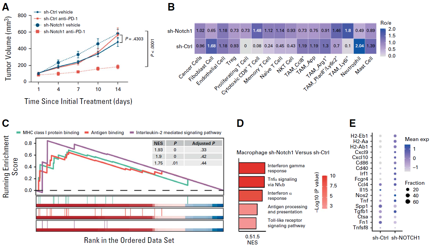 1744770203743894.png 1-3.png