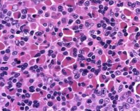 1744872881830125.png 1.png