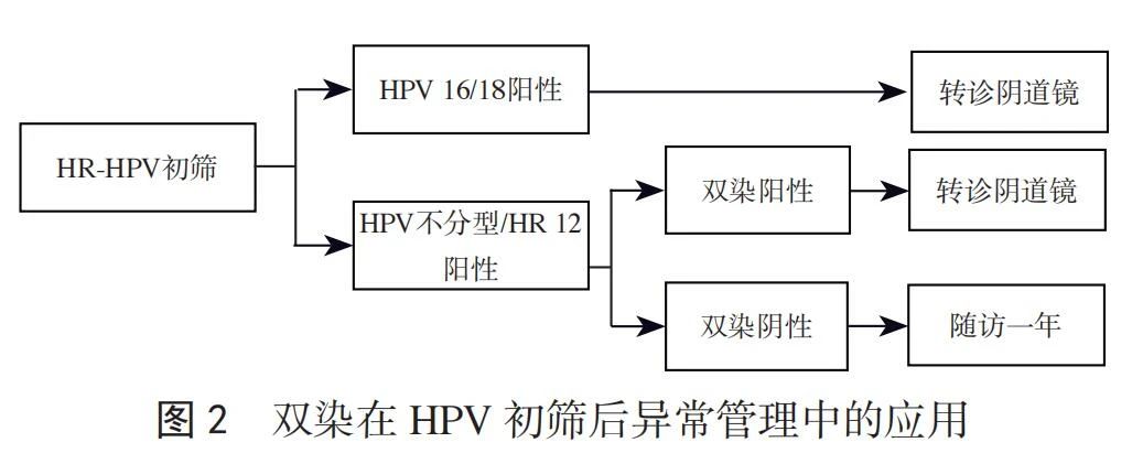 1745743796805326.jpg 3-2.jpg