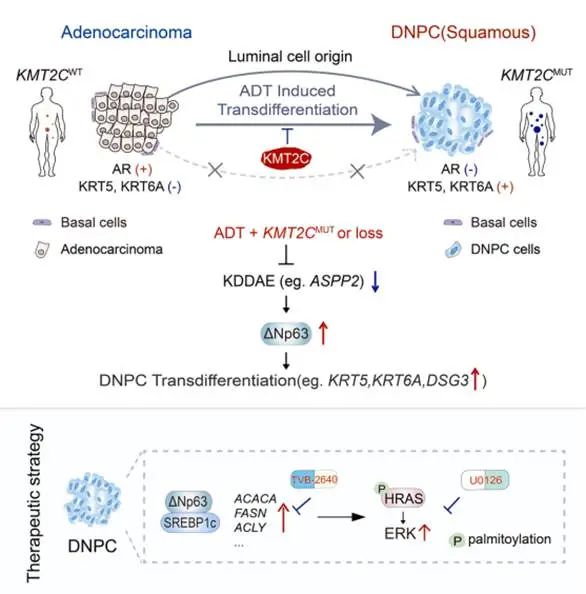 1745915453958423.jpg 1-2.jpg