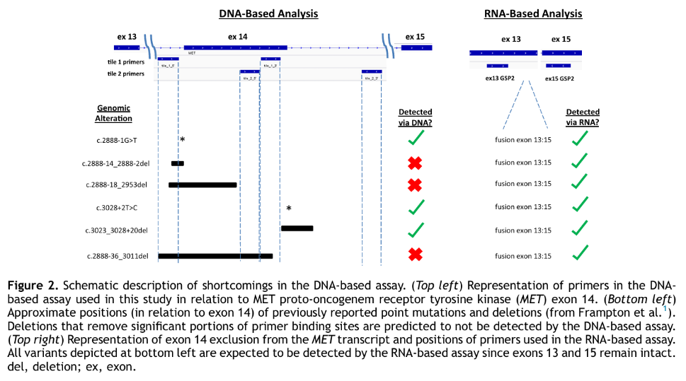 1748511231395376.png 3-3.png