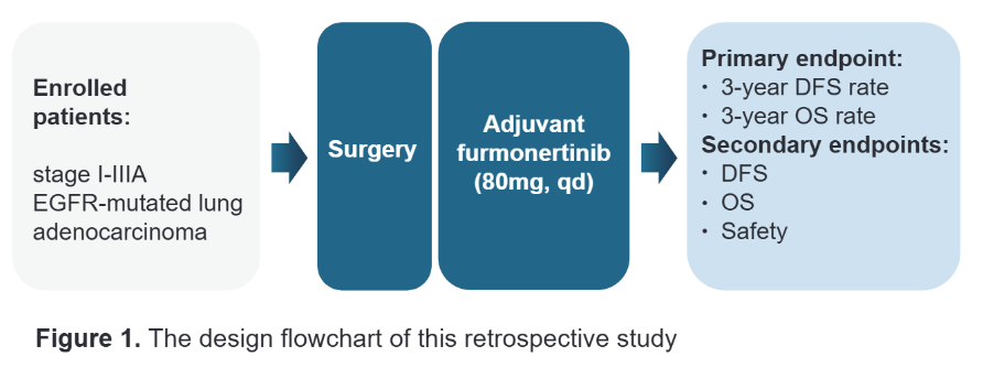 1750643041721446.png 1.png