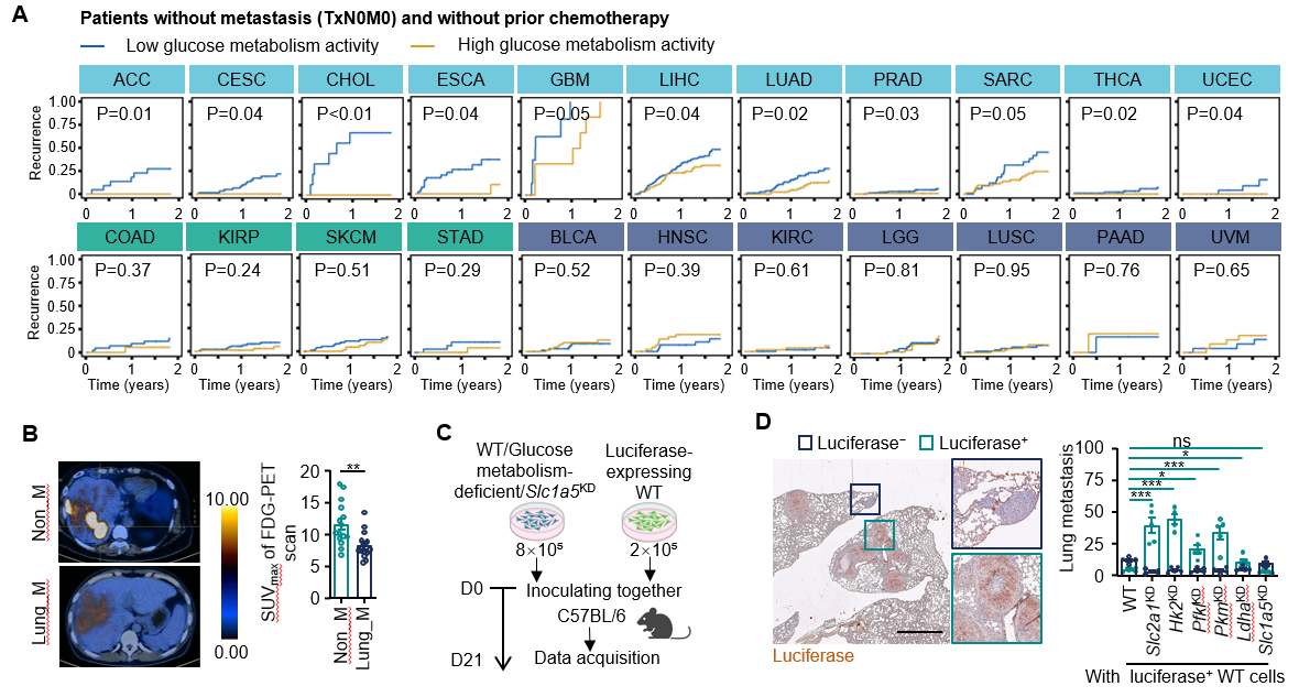 1753089382111530.png 1-2.png