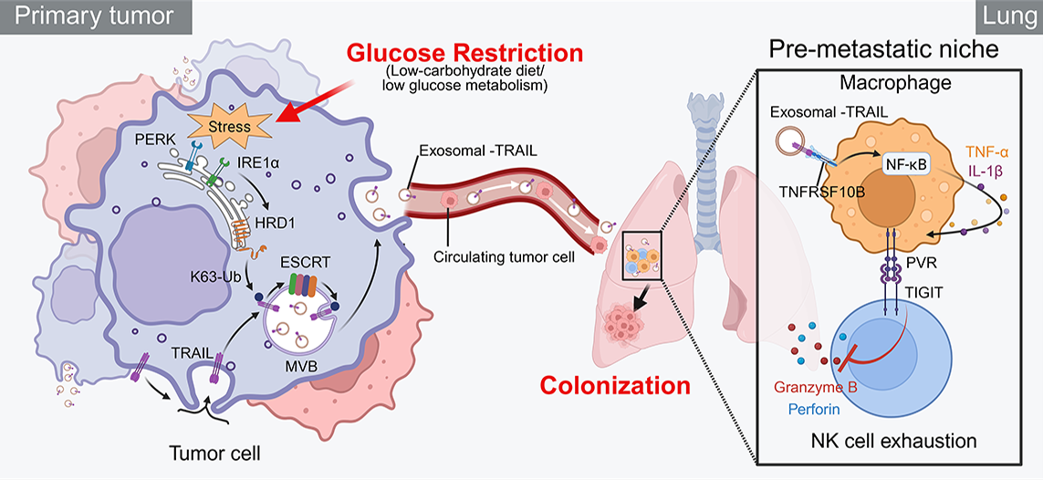 1753089398205459.png 1-3.png