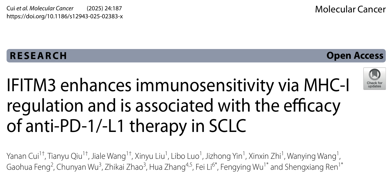 1754040517447577.png 1-1.png