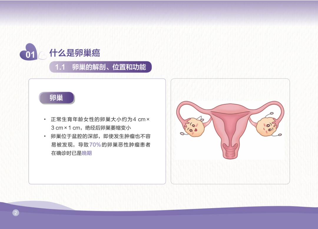 1758792520517850.png 7.png