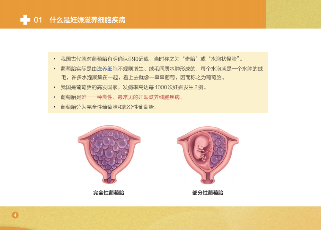 1758792791737693.png 18.png