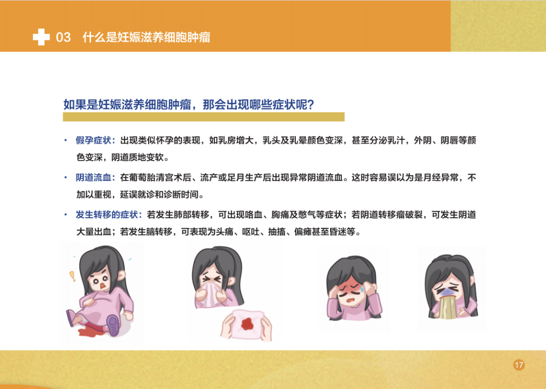 1758792805249179.png 19.png