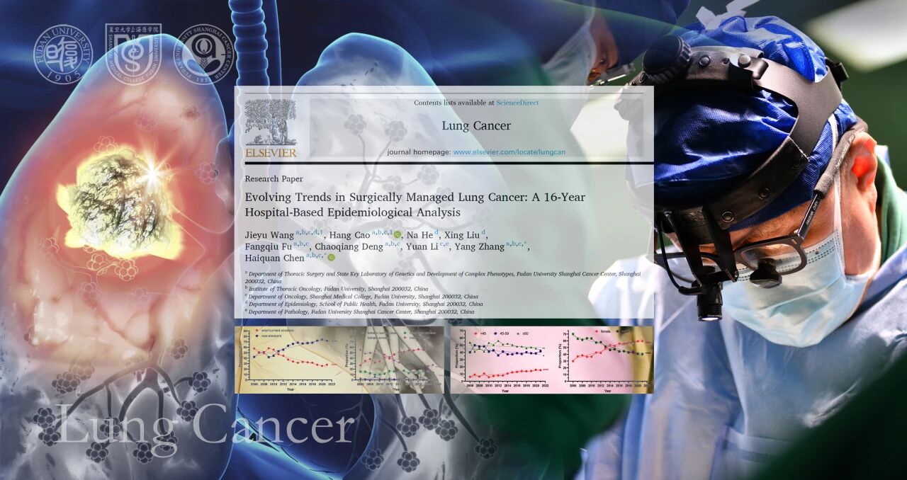 1759050156496945.jpg 1-1.jpg