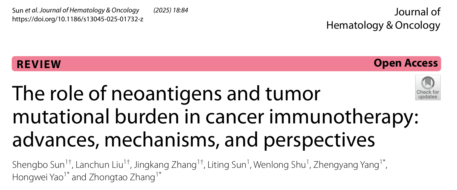 1760001370364094.png 2-1.png