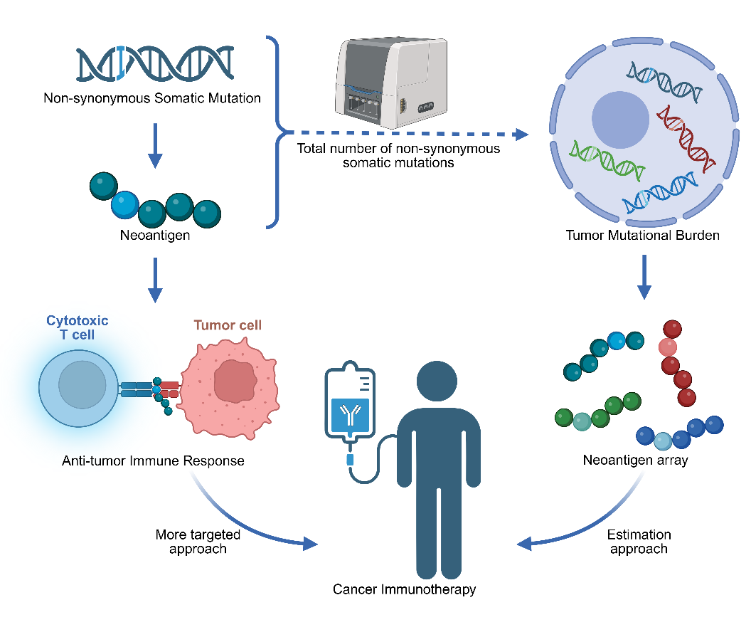 1760001378495168.png 2-2.png