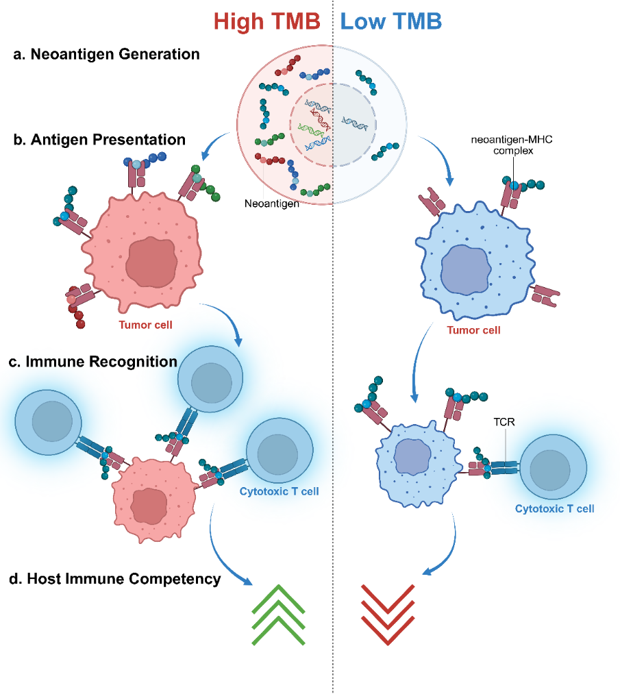 1760001400569656.png 2-3.png