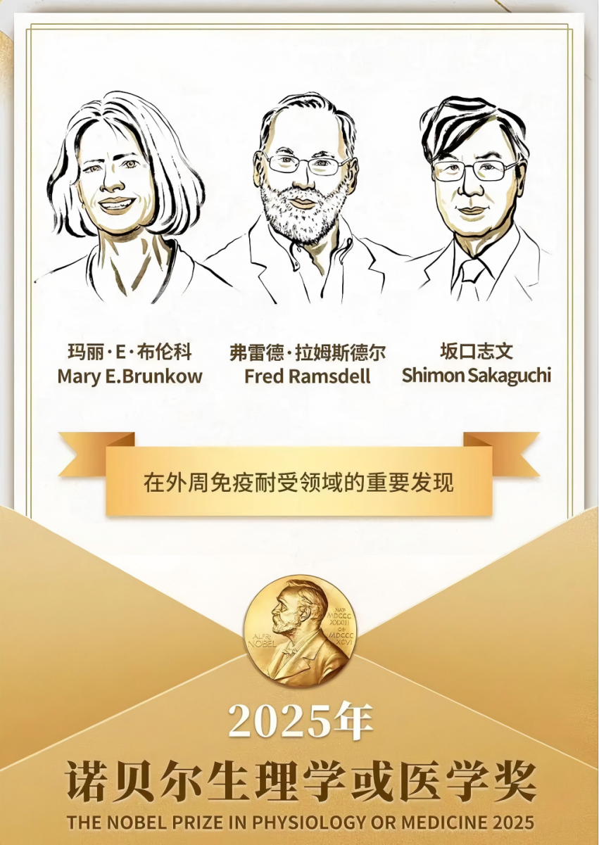 1760001566399431.png 3-1.png