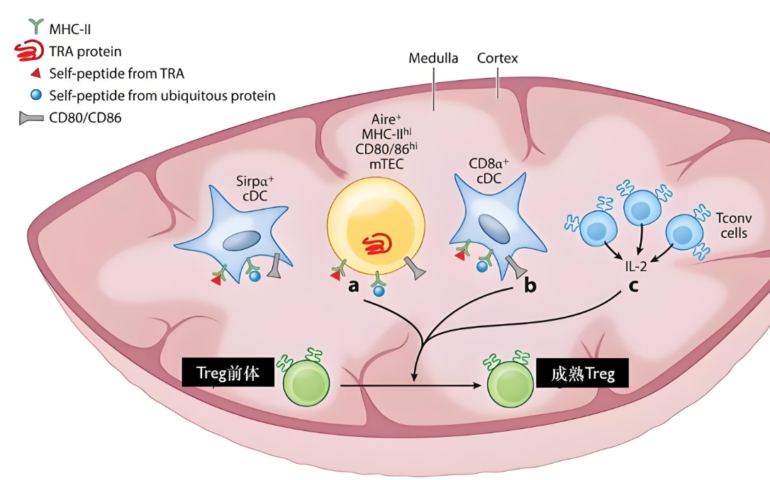 1760001583195717.png 3-2.png