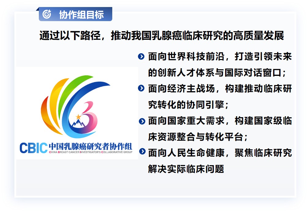 1762053931714795.jpg CBIC目标.jpg