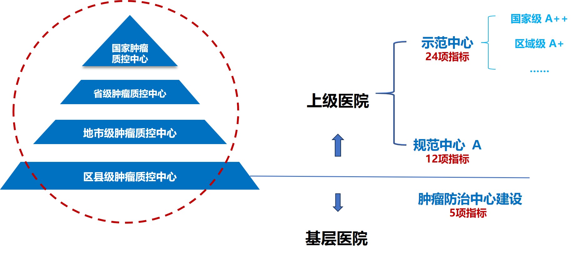 1762054287335255.jpg 专病中心建设.jpg