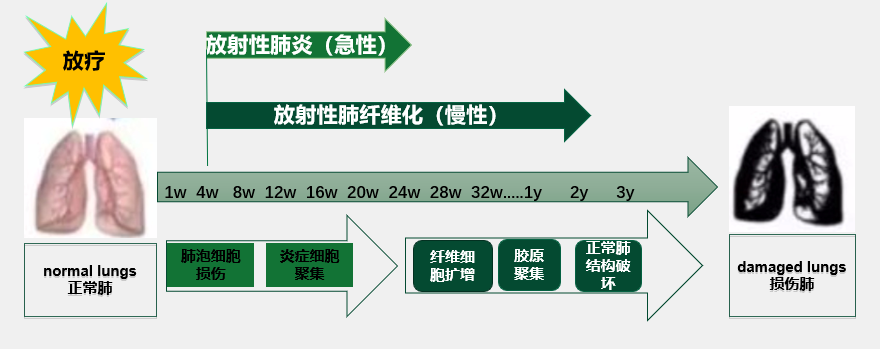 1762737538336265.png 1-2.png