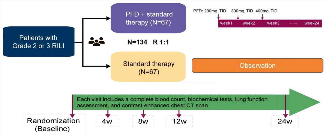 1762737557123699.png 1-3.png