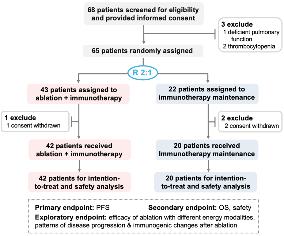 1762941322297174.png 2-2.png