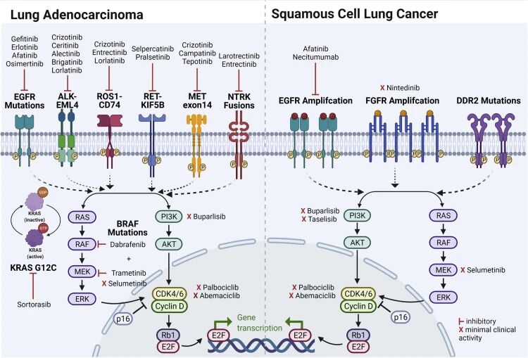 1763371298823296.jpg 1-6.jpg