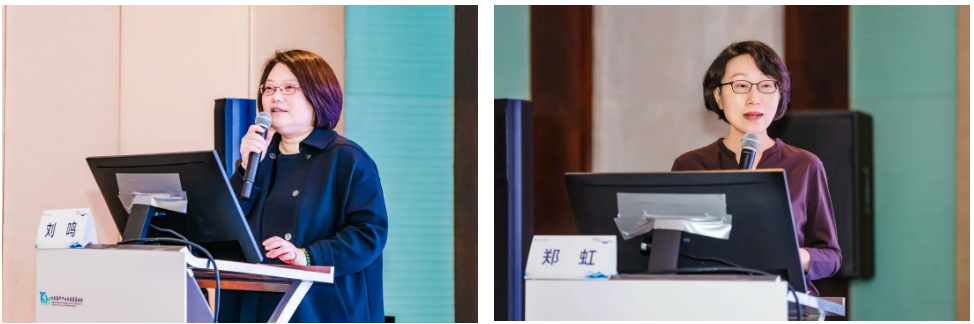 1763463775224495.png 3-9.png