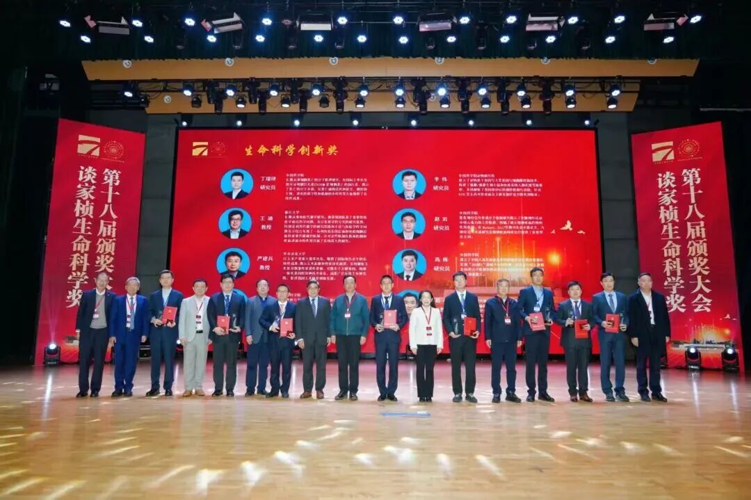 1763806964295755.jpg 2-4.jpg