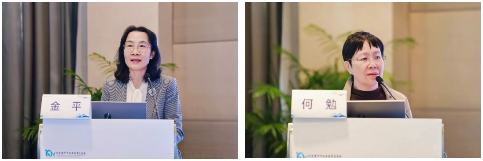 1764066476490239.png 2-4.png