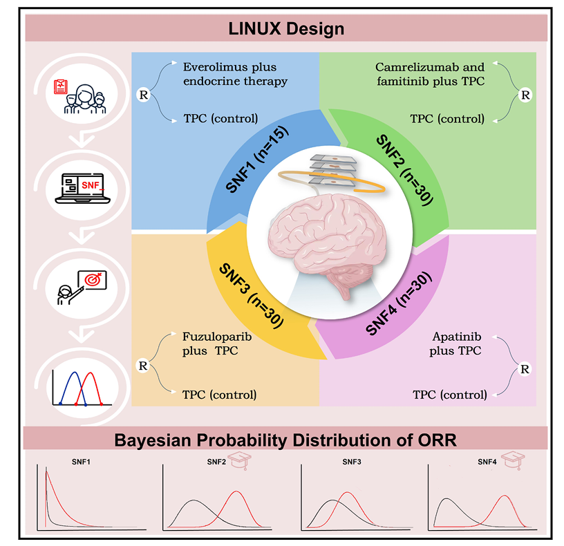 1765355439971614.png 2-2.png