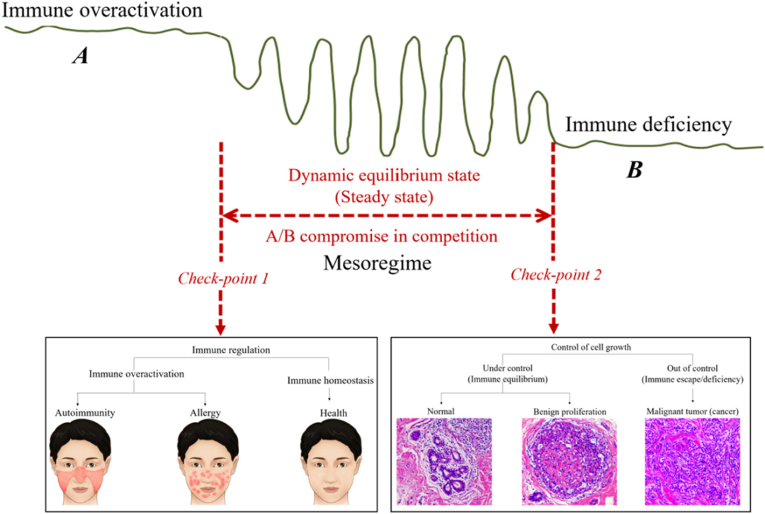 1765530837920398.png 1-2.png