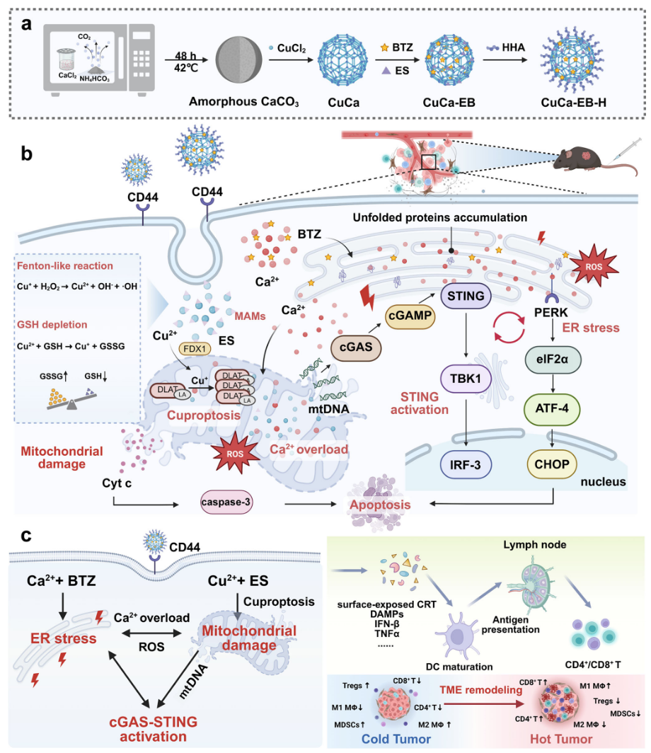 1767946397655833.png 1-2.png