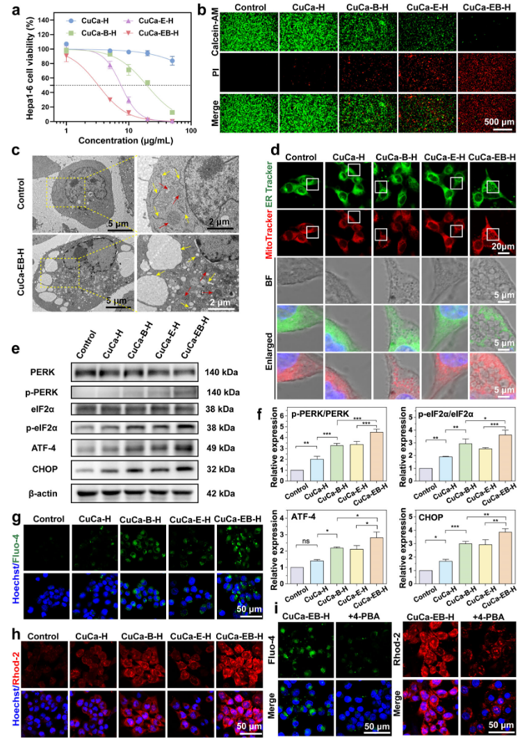 1767946415200799.png 1-4.png