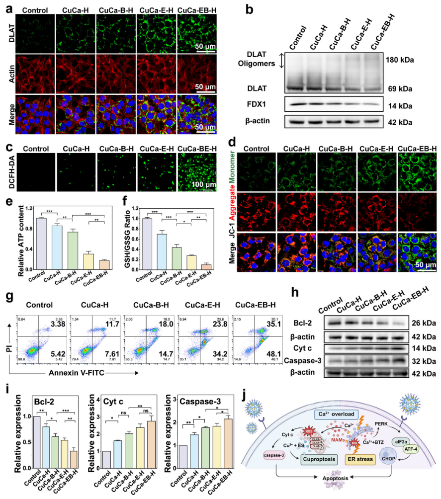 1767946423981409.png 1-5.png