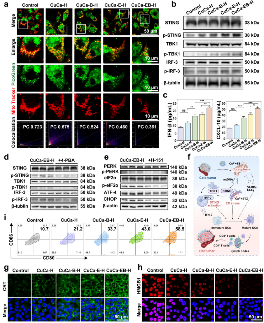 1767946430194896.png 1-6.png