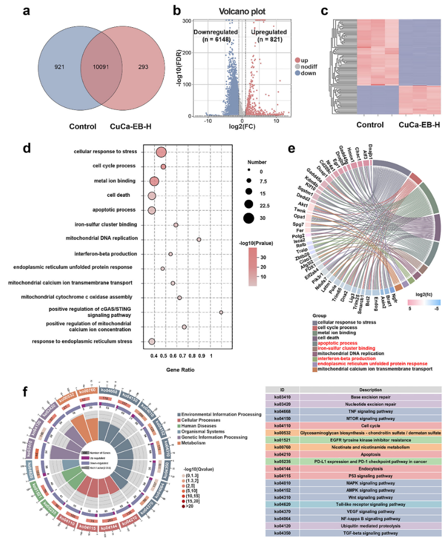 1767946437995769.png 1-7.png