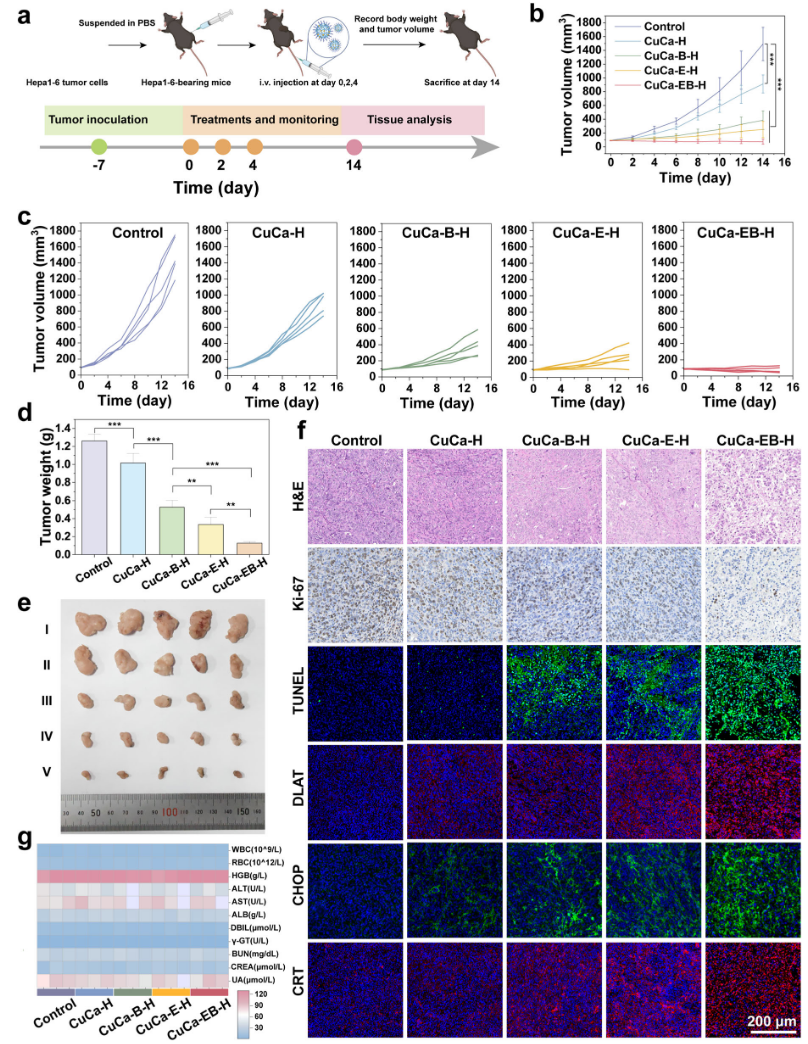 1767946479497627.png 1-8.png