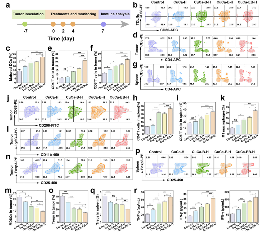 1767946489399773.png 1-9.png