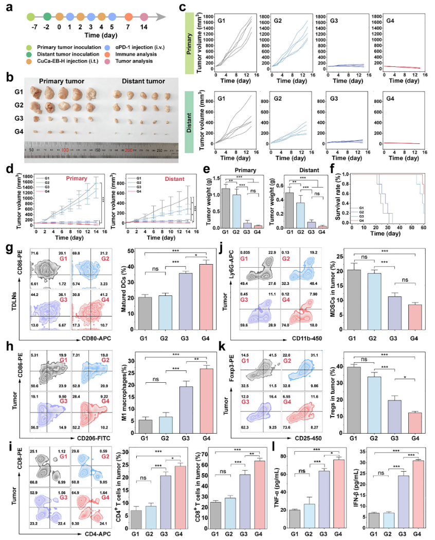 1767946499928768.png 1-10.png