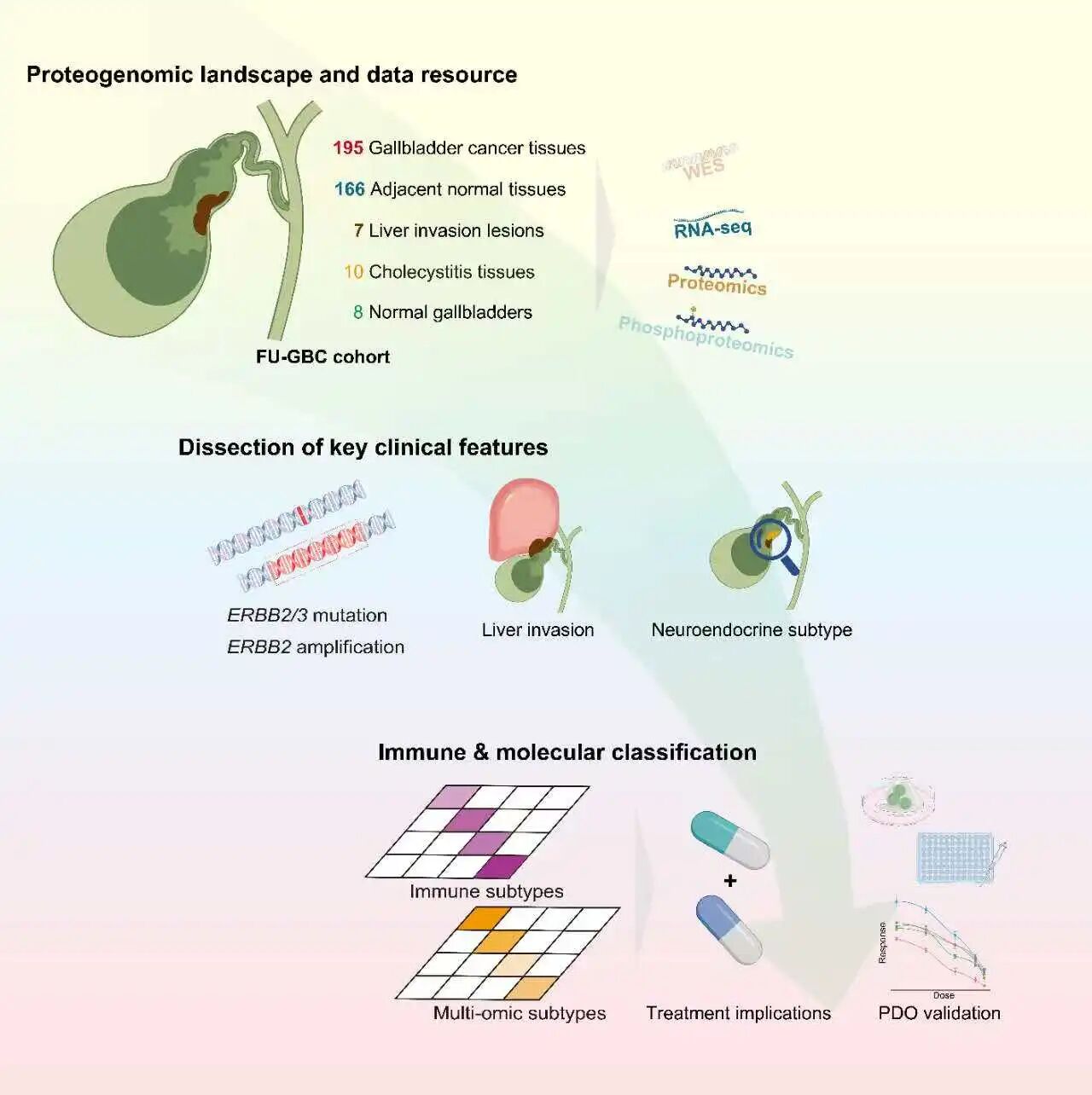 1767951189229714.jpg 1-2.jpg