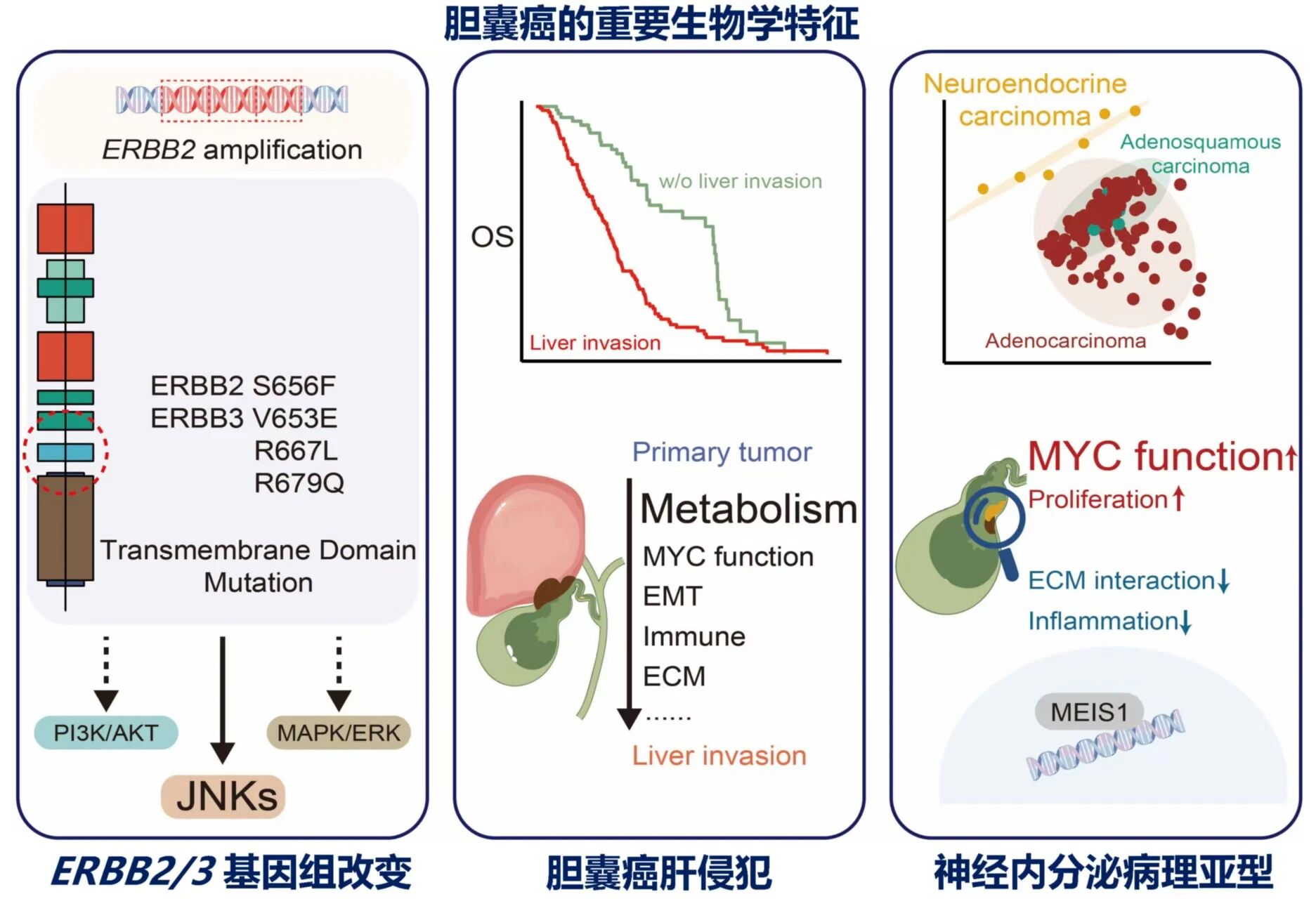1767951210737510.jpg 1-3.jpg