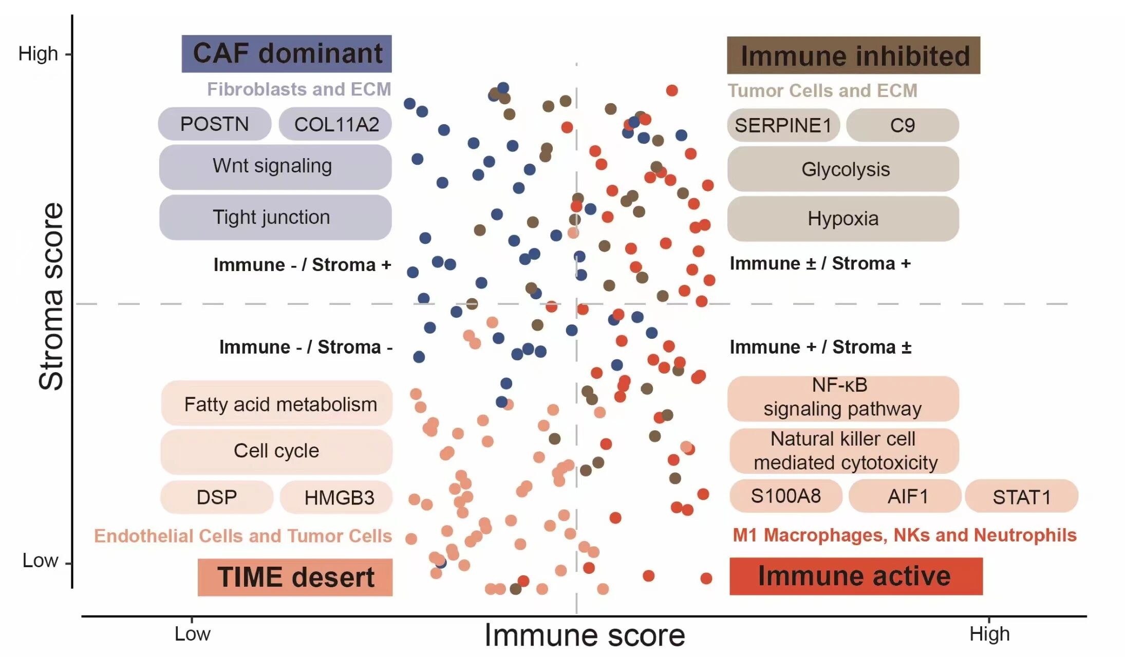 1767951229628356.jpg 1-4.jpg
