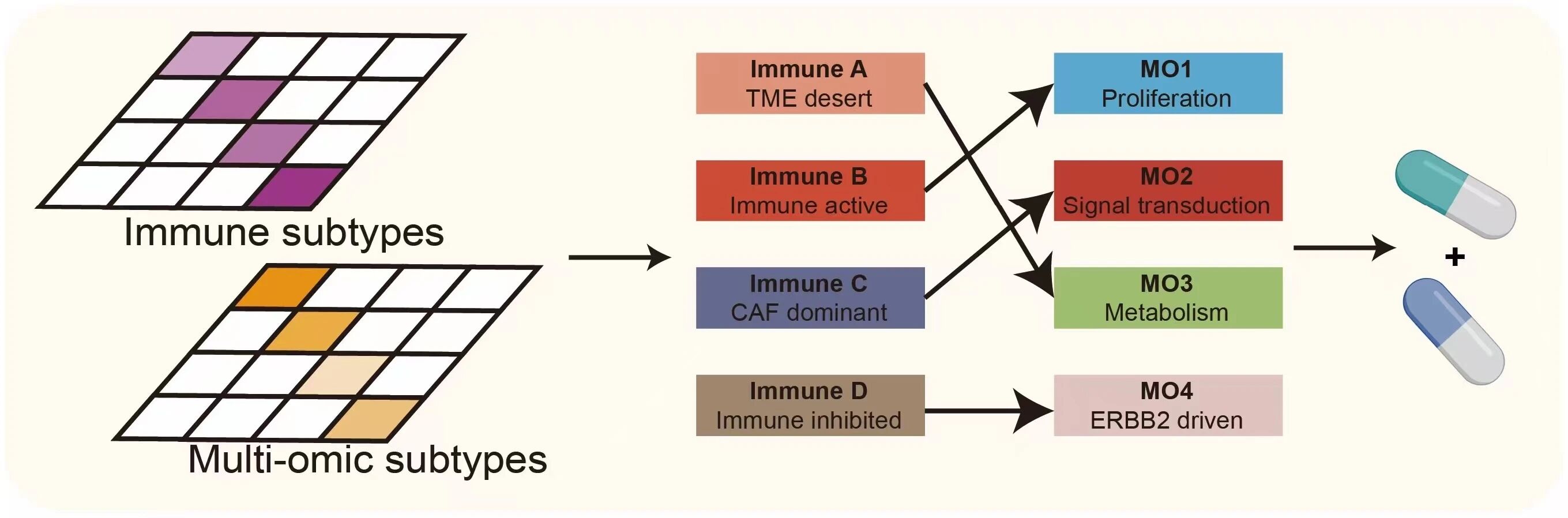 1767951246548907.jpg 1-5.jpg