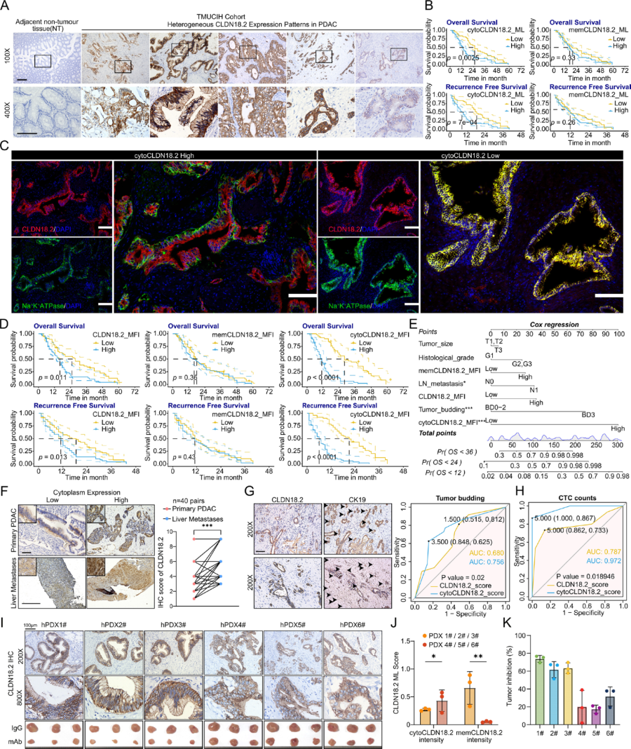 1768385604745313.png 2-3.png