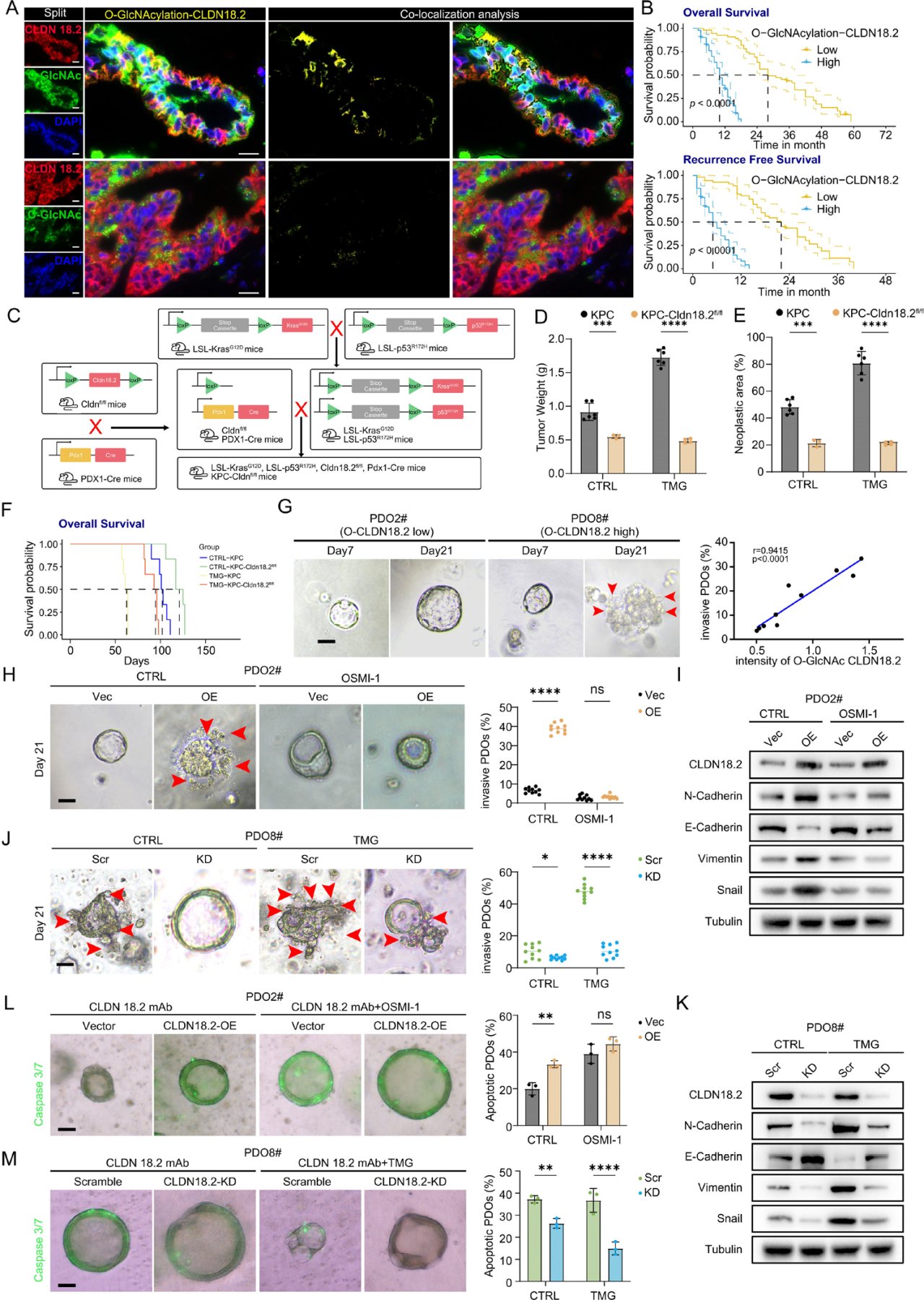 1768385642627729.png 2-6.png