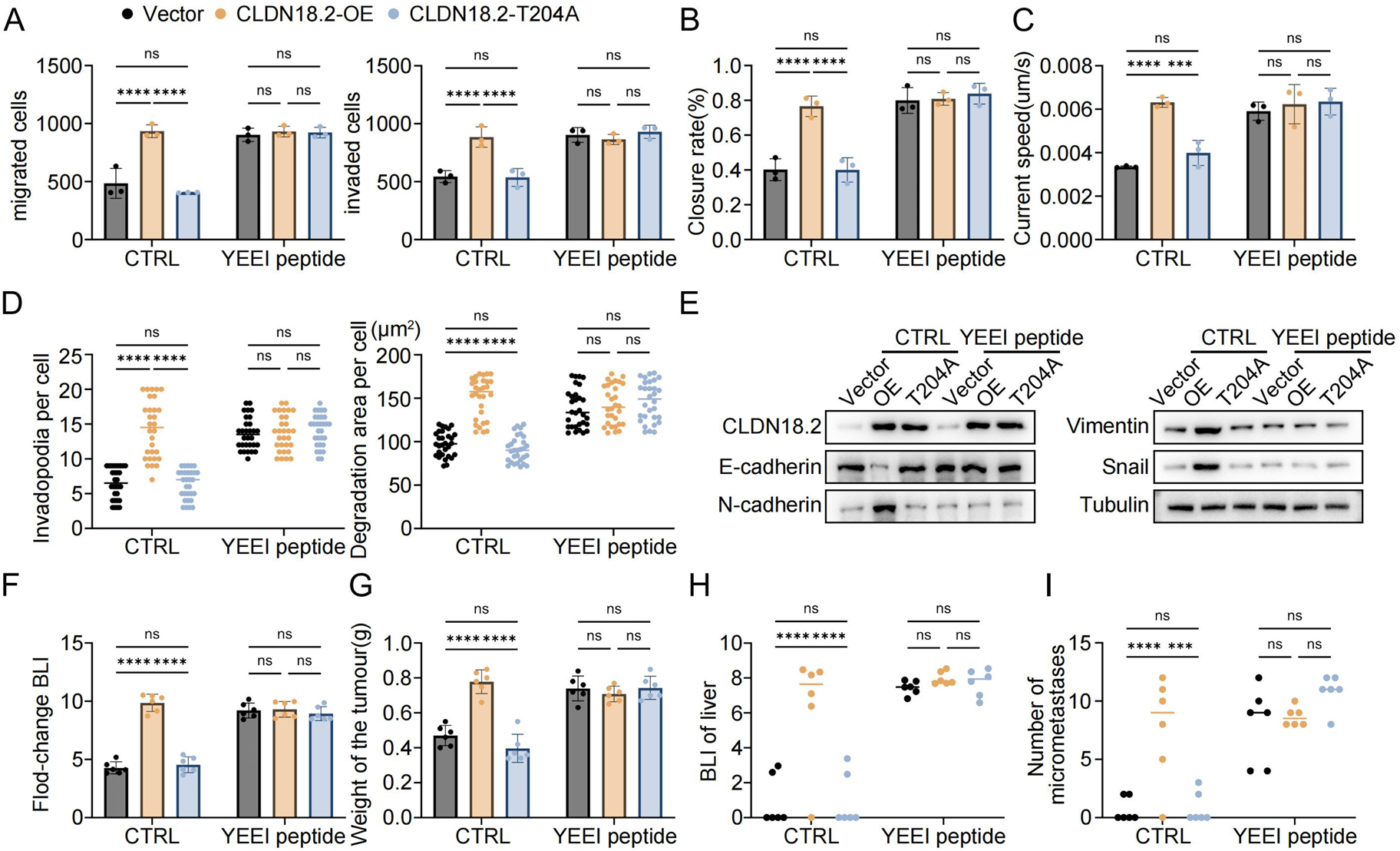 1768385726965236.png 2-9.png