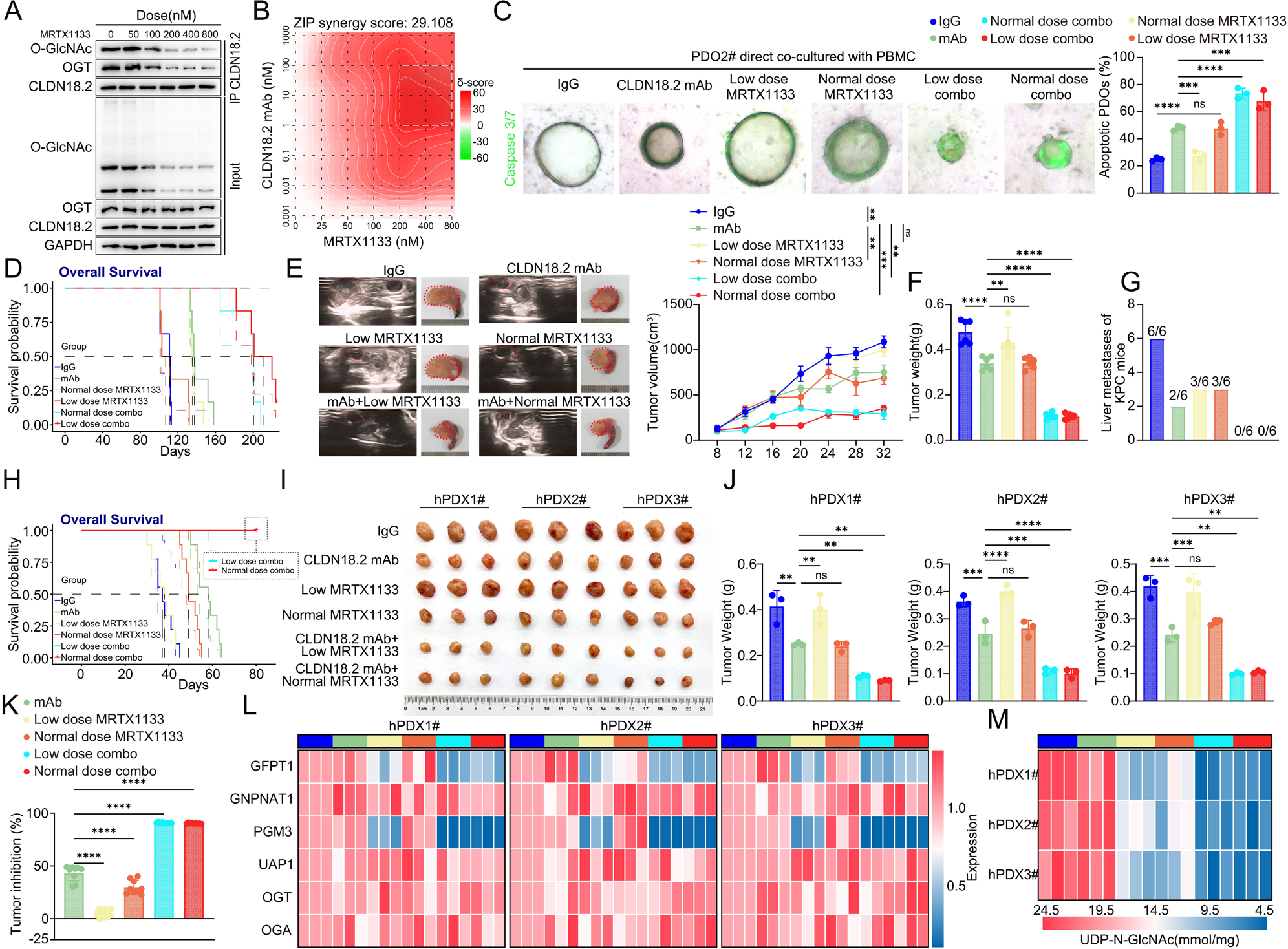 1768385743113982.png 2-11.png