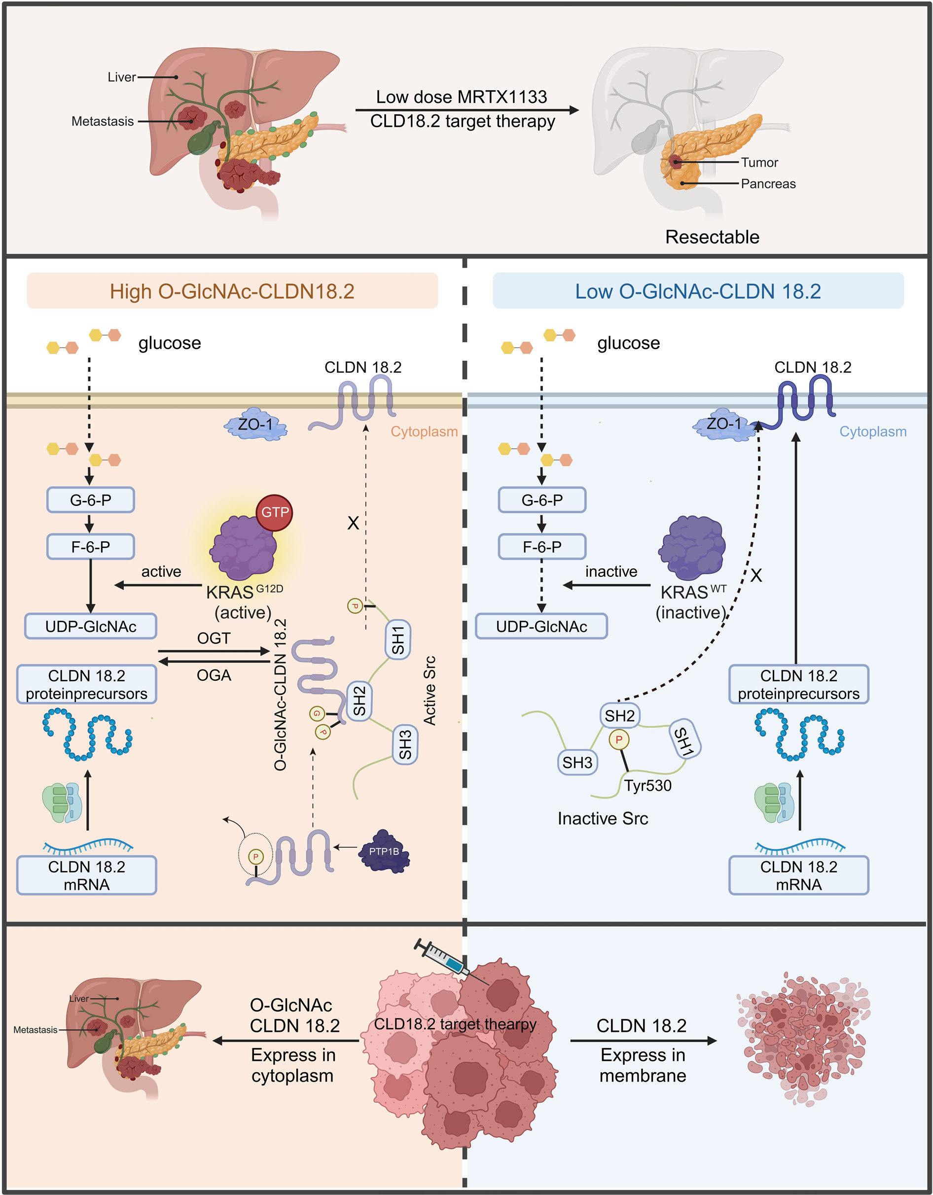 1768385754695484.png 2-12.png