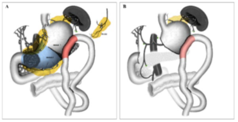 1770022298173715.png 1-3.png