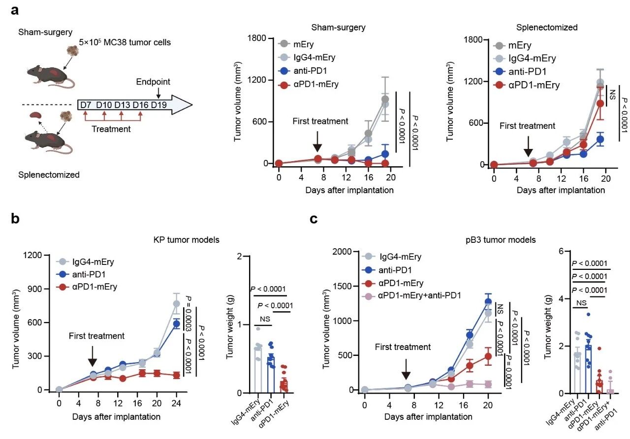 1771925259893121.jpg 1-3.jpg
