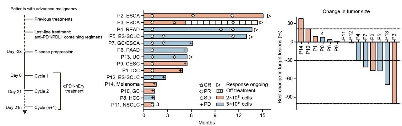 1771925267510563.jpg 1-4.jpg