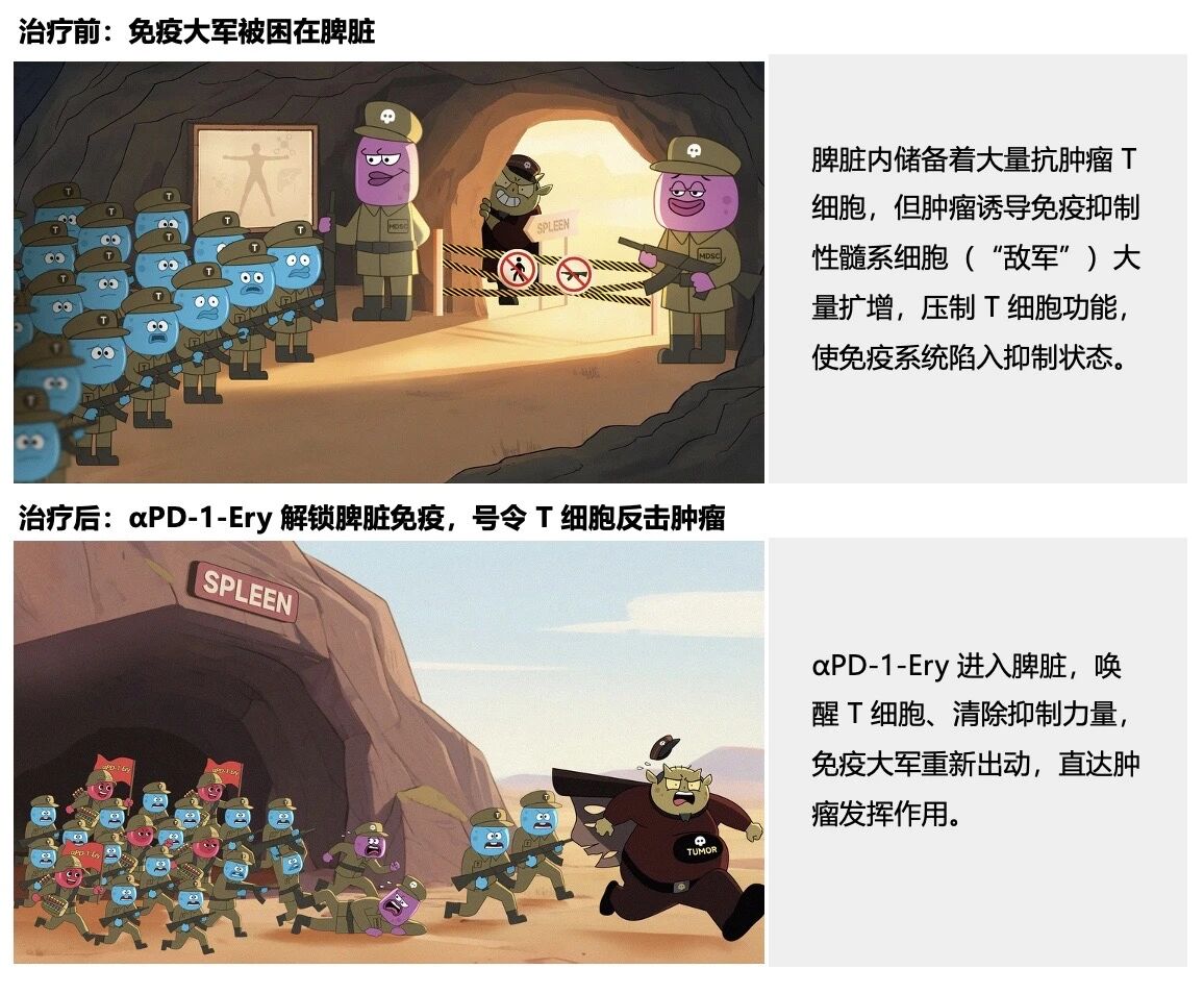 1771925347577738.jpg 1-5.jpg